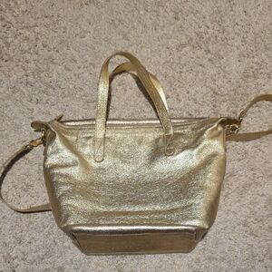 Cuyana Small Metallic Leather Carryall